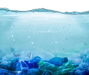 Plastic contaminated water