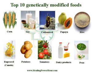  GMO foods