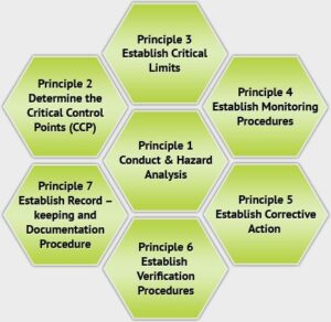 7 principles haccp