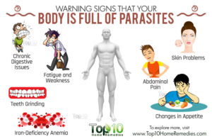 symptoms of parasite infection