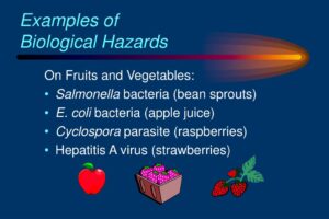 biological hazards example