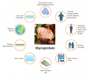 benefits of mycoprotein