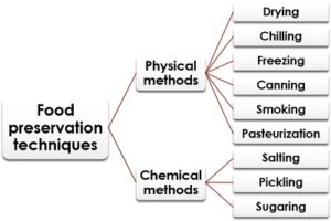 food preservation methods