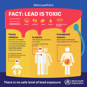 lead exposure risk