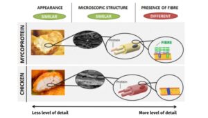 mycoprotein vs meat