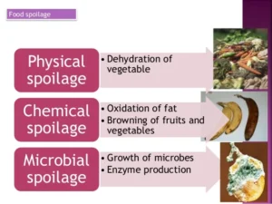 causes of food spoilage