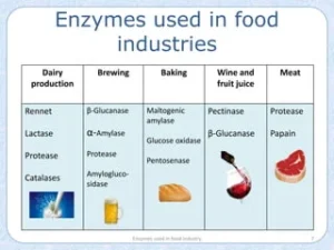 applications of enzyme in food industry