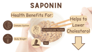 health benefits of saponin