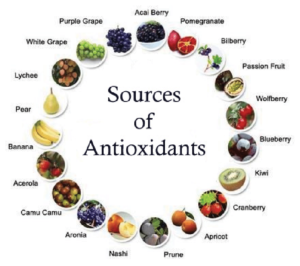 sources of antioxidants