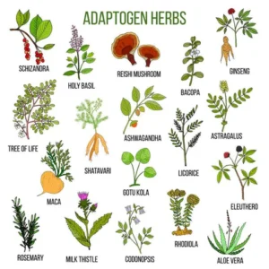 adaptogens