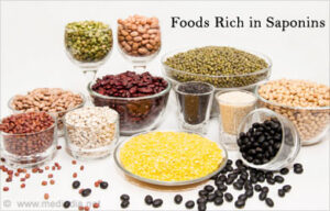 foods rich in saponins