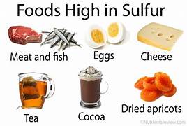 foods high in suphur