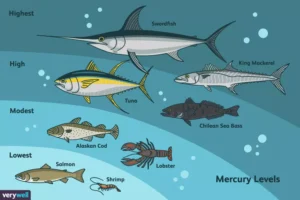 level of mercury in seafood