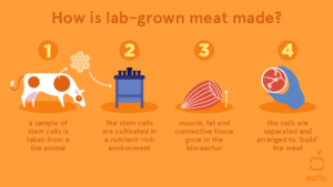 how is lab-grown meat made