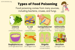 sources of  food contamination