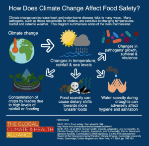 how climate change impact our food 