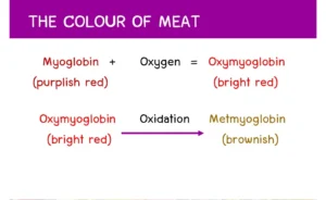 how does myoglobin give red colour to the meat