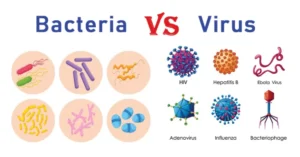 Bacteria vs virus