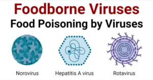 foodbourne virus