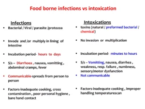 food inspection and food intoxication