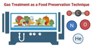 Gas-Treatment-as-a-Food-Preservation-Technique