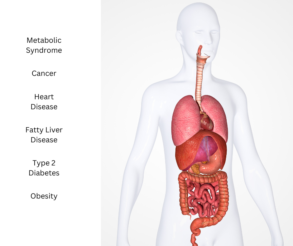 high-fructose-corn-syrup-health-effects-foodmanifest