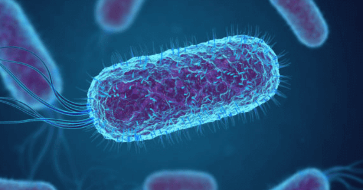 E. Coli Outbreaks in Norway and Austria Under Investigation