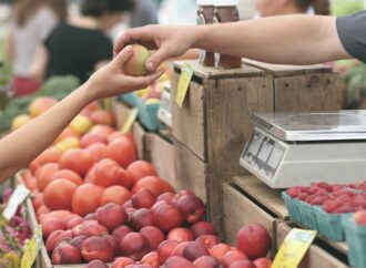 Food Safety Department Seizes Rotten and Expired Food in Salem