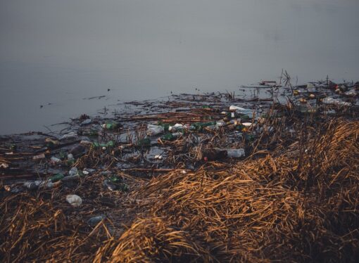 Two Hotels Closed for Release of Untreated Waste into Canal