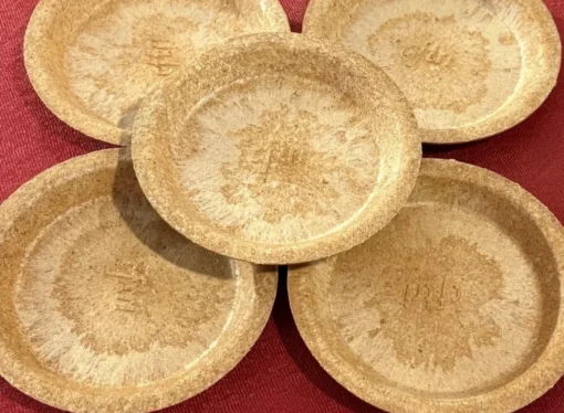 CSIR-CFTRI Unveils Eco-Friendly Biodegradable Plates and Edible Utensils