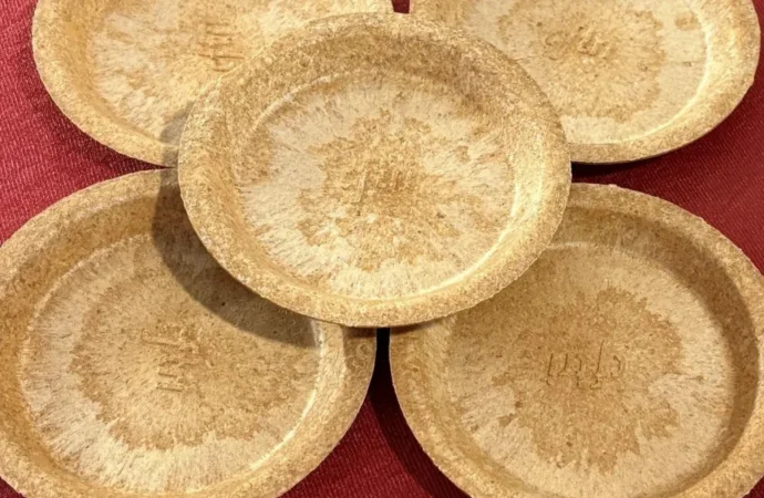 CSIR-CFTRI Unveils Eco-Friendly Biodegradable Plates and Edible Utensils