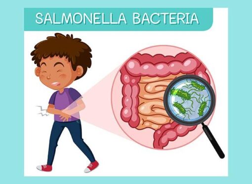 Over 200 Children in Italy Affected by Salmonella Outbreak Linked to School Meals