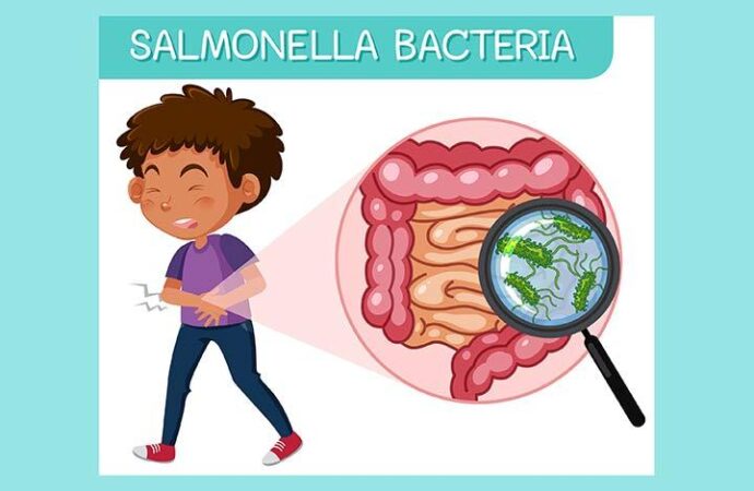 Over 200 Children in Italy Affected by Salmonella Outbreak Linked to School Meals