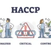 Understanding HACCP: The Cornerstone of Food Safety