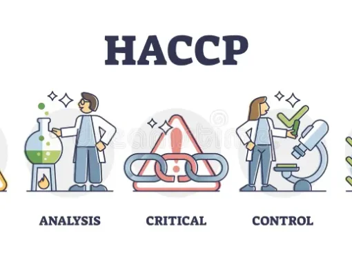 Understanding HACCP: The Cornerstone of Food Safety