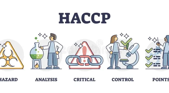 Understanding HACCP: The Cornerstone of Food Safety