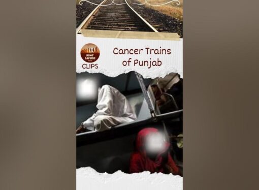 Punjab’s Cancer Train: The Impact of Pesticides on Health and Treatment Access