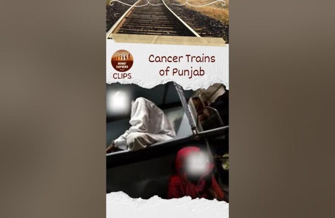 Punjab’s Cancer Train: The Impact of Pesticides on Health and Treatment Access