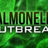 Salmonella Outbreaks Trigger Mass Hospitalizations in Vietnam