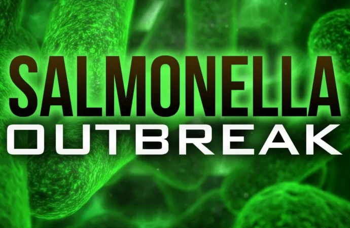 Salmonella Outbreaks Trigger Mass Hospitalizations in Vietnam