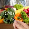 GMOs Unveiled: The Truth Behind Genetically Modified Foods