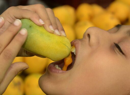 Two Women Die After Consuming Mango Seed Porridge in Odisha’s Kandhamal: Investigation Underway