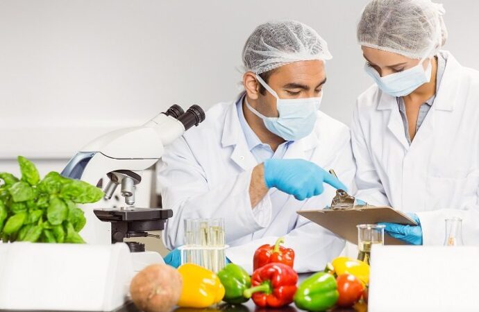 Telangana Expands Food Safety: New Labs and Stricter Penalties to Ensure Quality