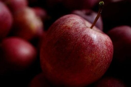 India Blocks Unsafe Food Imports from Five Countries: Key Rejections Revealed