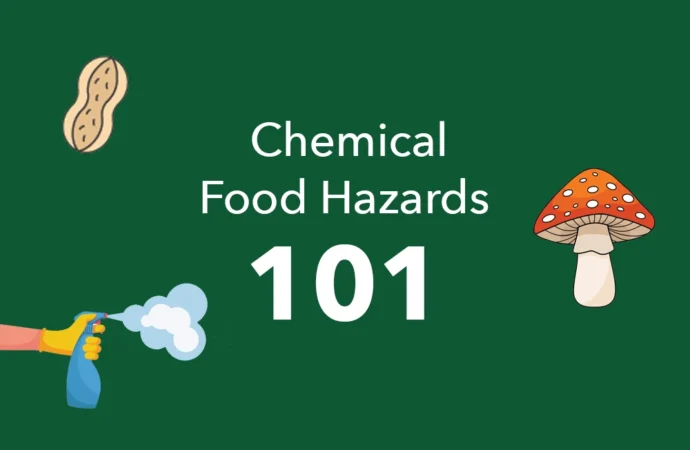 Chemical Hazards in Food: Ensuring Safety in Every Bite