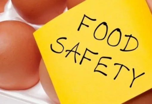 Telangana Government Establishes Food Safety Committees to Oversee School Meals