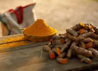 Tainted Turmeric: Alarming Lead Levels Found in South Asian Spice