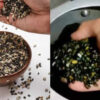 Viral Video Exposes Black Lentil Adulteration, Raising Food Safety Concerns in Himachal