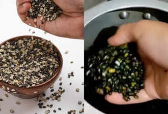 Viral Video Exposes Black Lentil Adulteration, Raising Food Safety Concerns in Himachal