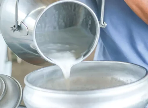Stanford Study Reveals Risks of Raw Milk and the Need for Pasteurization